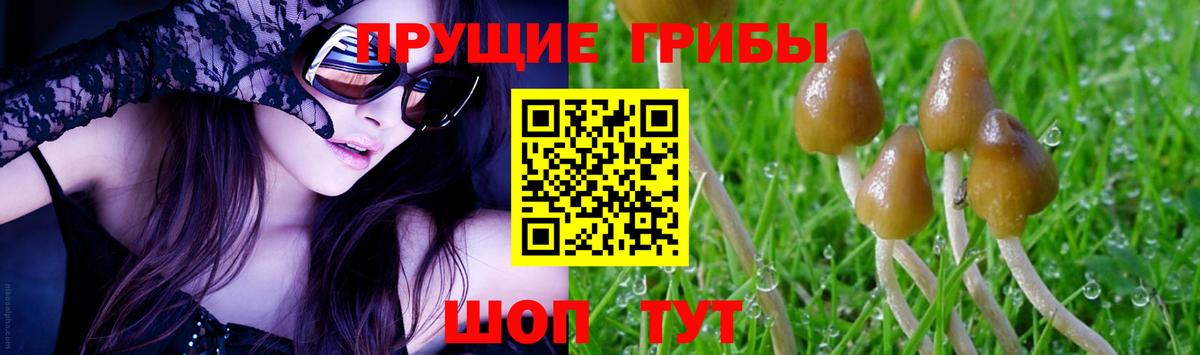 Псилоцибиновые грибы GOLDEN TEACHER  Вход с VPN  Вятские Поляны 