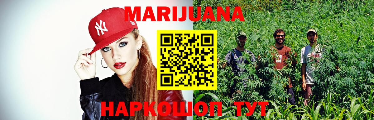Бошки Шишки семена Вятские Поляны